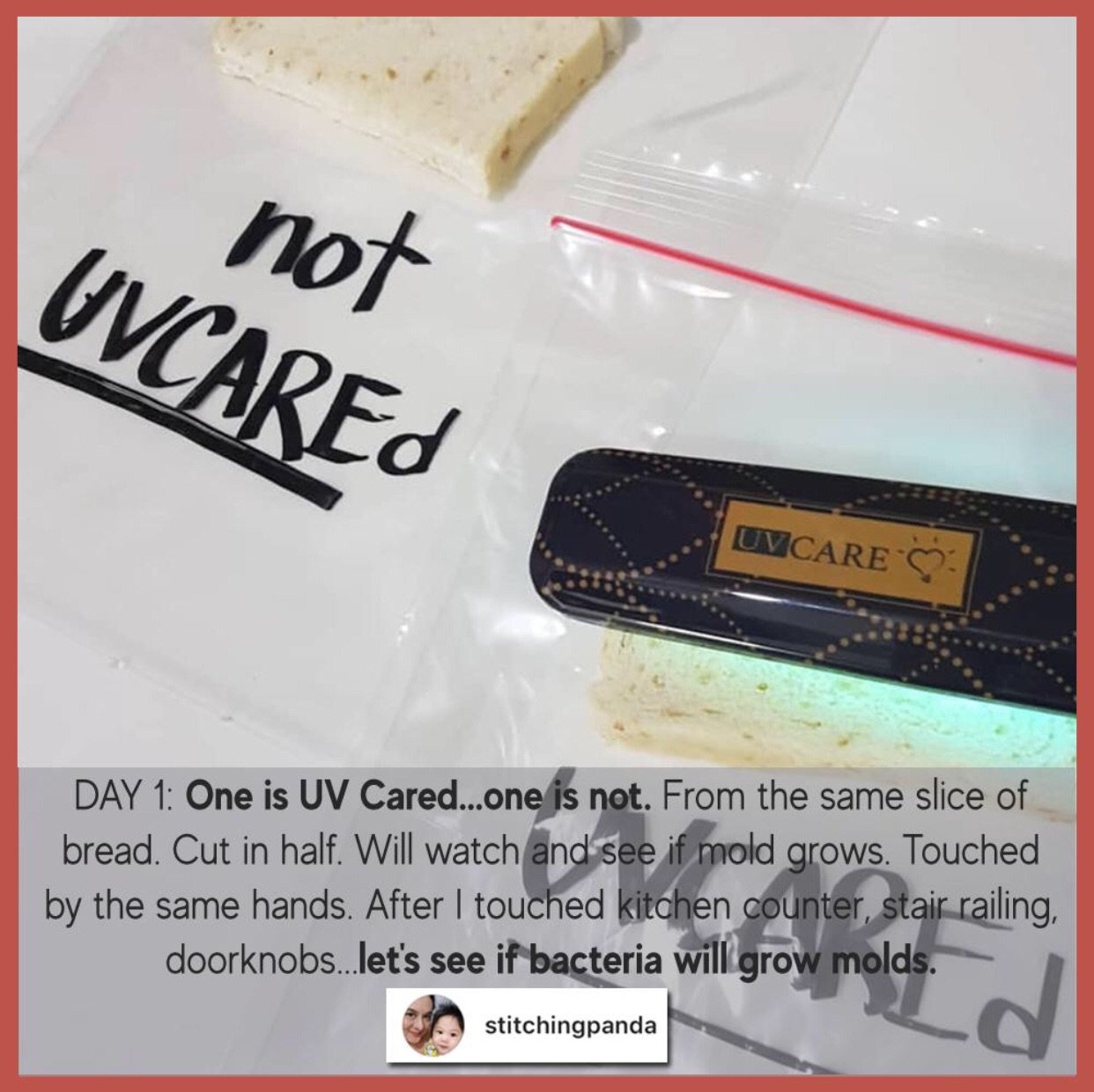 PREORDER UV Care Pocket Sterilizer: Vogue Collection (TWO MONTHS TURNAROUND TIME)